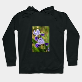 Purple flowers in summer garden Hoodie